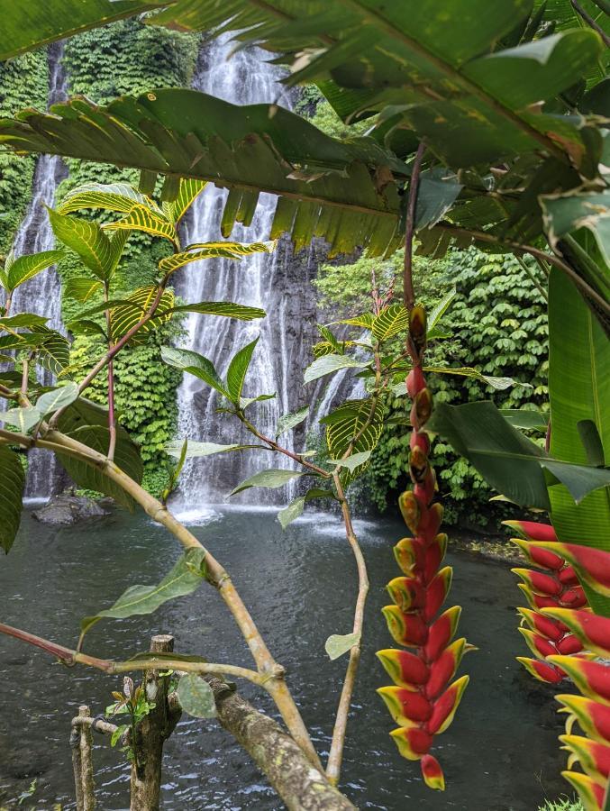 Bali Munduk Delux Bungalow Villa 싱가라자 외부 사진