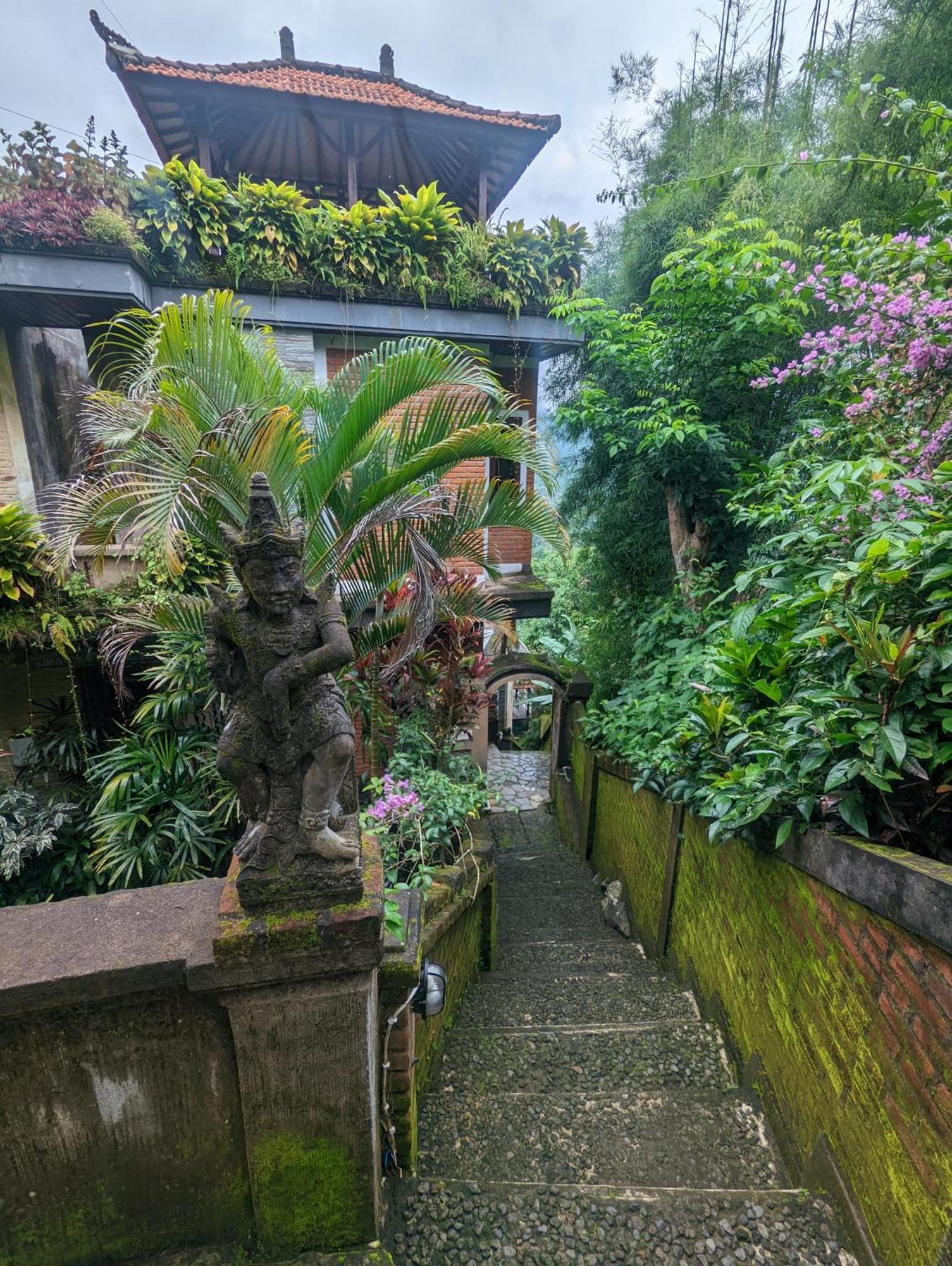 Bali Munduk Delux Bungalow Villa 싱가라자 외부 사진